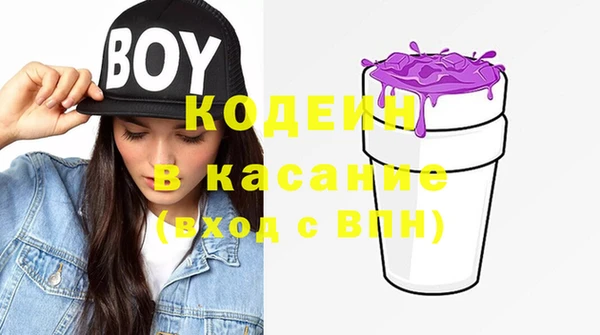 индика Алексин