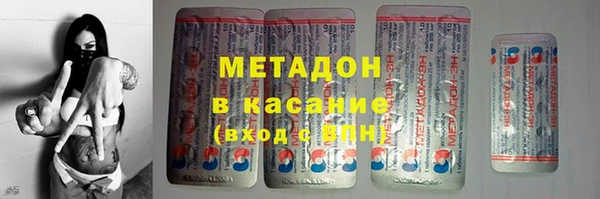 прущие грибы Алзамай