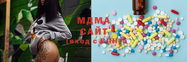 индика Алексин