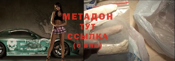 индика Алексин
