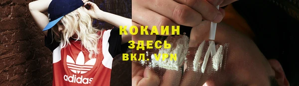 индика Алексин