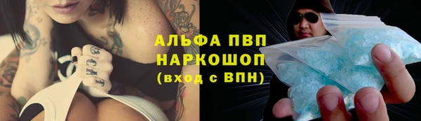прущие грибы Алзамай