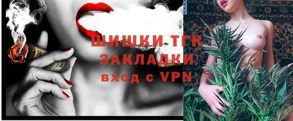 прущие грибы Алзамай