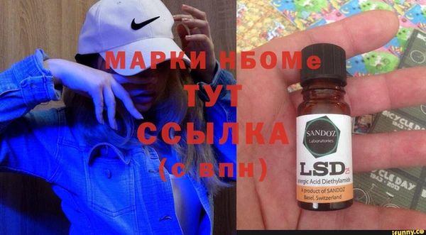 индика Алексин