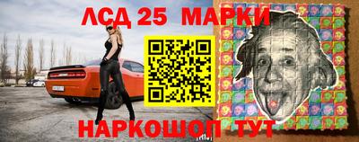 спиды Моздок