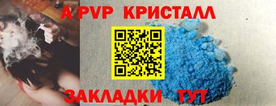 спиды Моздок