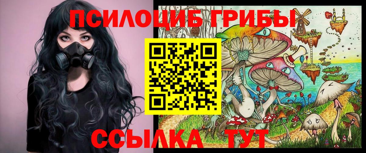 Галлюциногенные грибы MAGIC MUSHROOMS  хочу наркоту  Беслан  Галлюциногенные грибы Psilocybe  Вход с VPN 